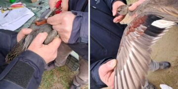 Telemetria satellitare ACMA 2026: un’altra giornata di grande soddisfazione