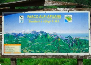 Parco Alpi Apuane: guardiaparco impegnati nelle ricerche di carcasse di cinghiale