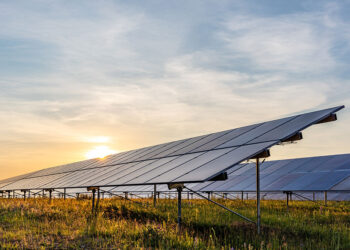 Il fotovoltaico continua a preoccupare gli agricoltori: il caso di Torre di Mosto