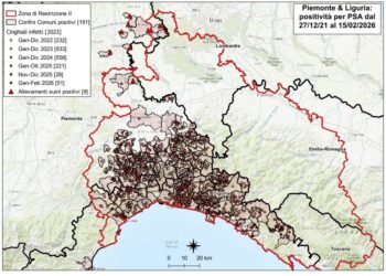 Peste suina africana: 7 nuovi casi in Liguria, 2 in Piemonte