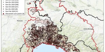 Peste suina africana: 7 nuovi casi in Liguria, 2 in Piemonte