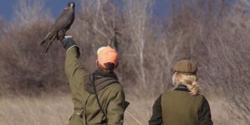 In Friuli Venezia Giulia un raduno internazionale di falconeria di grande livello