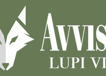 La Valle d’Aosta lancia l’app per segnalare gli avvistamenti dei lupi