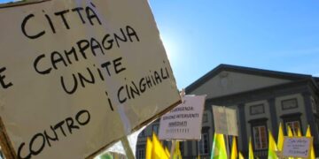 Peste suina, in Toscana casi triplicati in pochi mesi: agricoltori pronti a nuove proteste