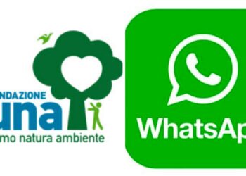 Fondazione UNA sbarca su Whatsapp con il suo canale ufficiale