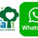 Fondazione UNA sbarca su Whatsapp con il suo canale ufficiale