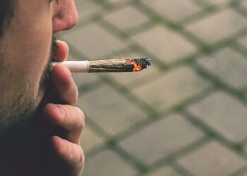 Hashish per uso personale e porto d’armi, dal TAR Lazio una sentenza interessante