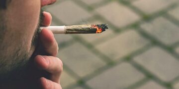 Hashish per uso personale e porto d’armi, dal TAR Lazio una sentenza interessante