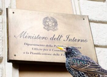 Gli storni stanno facendo impazzire anche il Ministero dell’Interno