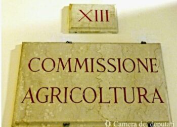 Camera, in Commissione Agricoltura botta e risposta sugli incidenti di caccia