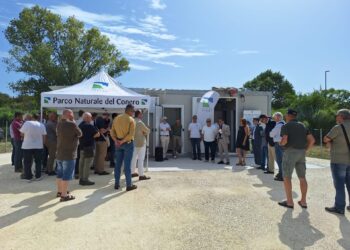 Parco del Conero, parte il sistema di gestione e tracciabilità dei cinghiali: un progetto che valorizza i cacciatori