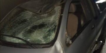 Cervi distruggono auto, Confagricoltura incalza la Regione Abruzzo