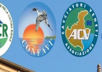 ACR, CONFAVI, ACV e FCR non parteciperanno all’edizione 2026 dell’EOS Show”