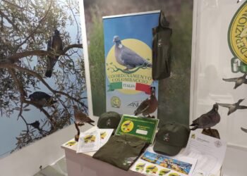 Il Coordinamento Colombaccio Italia attende gli appassionati all’EOS Show 2026