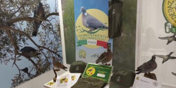 Il Coordinamento Colombaccio Italia attende gli appassionati all’EOS Show 2026