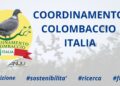 Il Coordinamento Colombaccio Italia è in cerca di nuovi rilevatori
