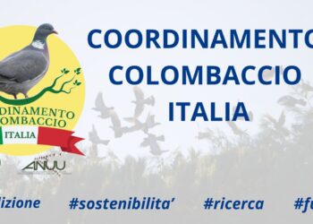 Il Coordinamento Colombaccio Italia è in cerca di nuovi rilevatori