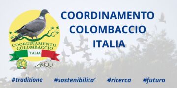 Il Coordinamento Colombaccio Italia è in cerca di nuovi rilevatori