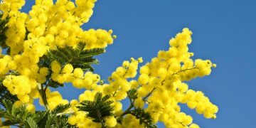 Auguri alle donne che rendono viva la caccia