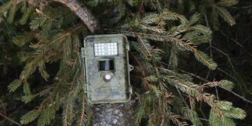 Nei boschi altoatesini 200 nuove fototrappole per gestire i selvatici