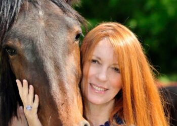 Il PD contro la proposta della Brambilla sugli equini