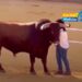 Sui social spopola il video (falso) di una donna che abbraccia un toro durante la corrida