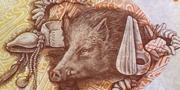 Le nuove banconote inglesi avranno immagini di fauna selvatica