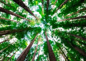 In provincia di Rimini potrebbe sorgere una nuova riserva naturale: ce n’è davvero bisogno?