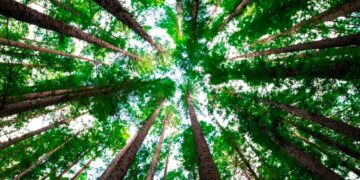 In provincia di Rimini potrebbe sorgere una nuova riserva naturale: ce n’è davvero bisogno?