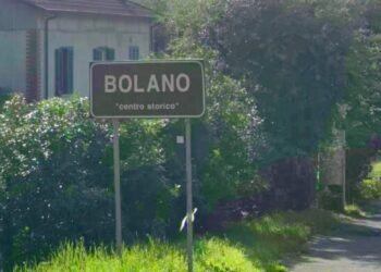 Peste suina in Liguria: primo caso assoluto di positività a Bolano