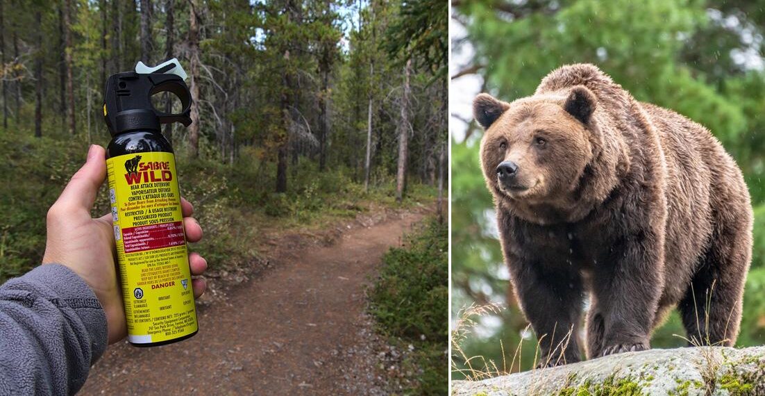 Ministro Piantedosi: “Lo spray anti-orso è un’arma e il suo uso non può essere esteso alla popolazione”