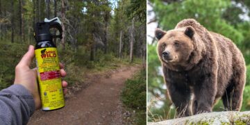 Ministro Piantedosi: “Lo spray anti-orso è un’arma e il suo uso non può essere esteso alla popolazione”