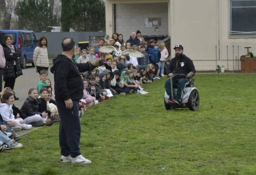 Forte dei Marmi, i falconieri conquistano gli studenti con i rapaci delle rupi di Porta