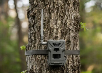 Spypoint, occhi elettronici nel bosco: la nuova frontiera del monitoraggio venatorio