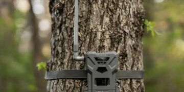 Spypoint, occhi elettronici nel bosco: la nuova frontiera del monitoraggio venatorio