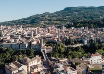 L’area urbana di Ascoli Piceno ha un serio problema con i cinghiali