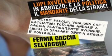 Allarmismo, clickbait e cortocircuiti: la crociata social di LAV, LAC, LIPU e WWF contro il Ddl 1552