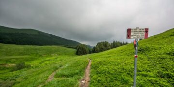 Peste suina, al via il piano di controllo del cinghiale nel Parco del Corno alle Scale
