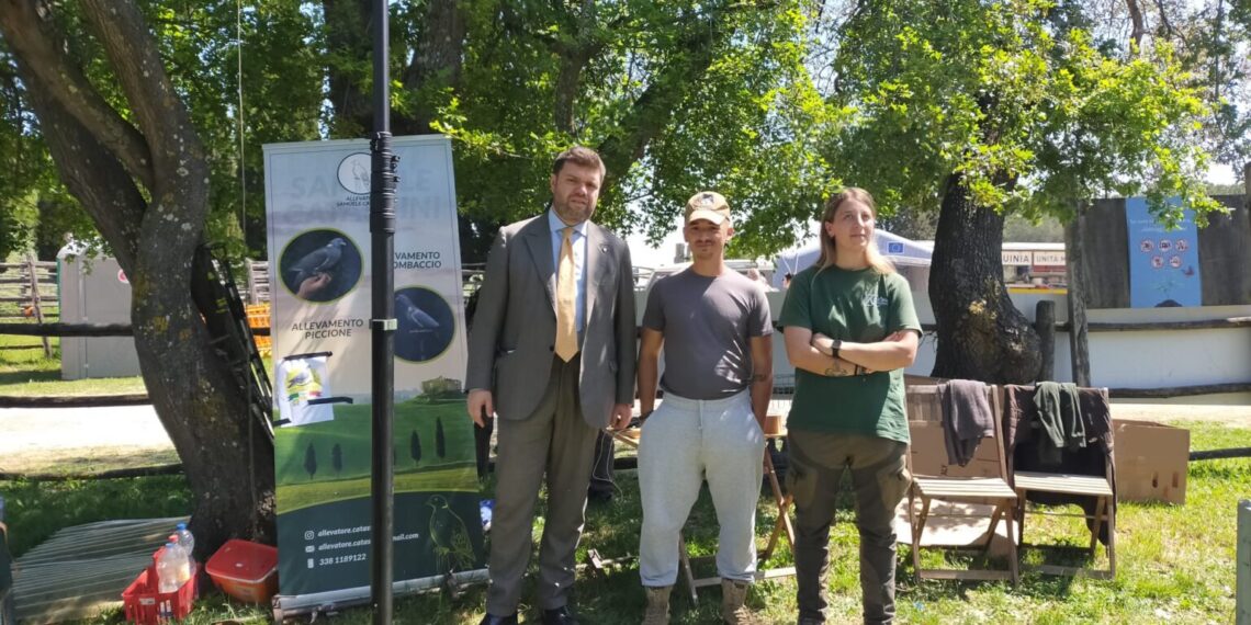 Caccia al colombaccio: tradizioni venatorie protagoniste alla Festa della Merca