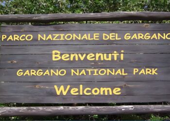 Caccia e viabilità nel Parco del Gargano: un problema di sicurezza stradale