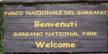 Caccia e viabilità nel Parco del Gargano: un problema di sicurezza stradale