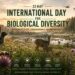 Oggi è la Giornata Internazionale per la Biodiversità: i cacciatori sono parte della soluzione