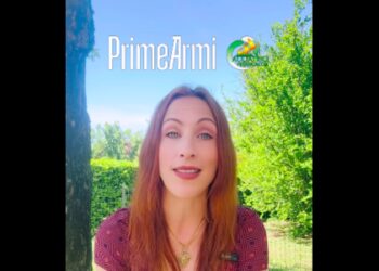 Prime Armi, Francesca Mattioli inizia a smentire le fake news sulla riforma della 157/92