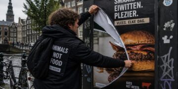 Incredibile ad Amsterdam: vietate le pubblicità che promuovano il consumo di carne