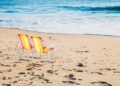 Riforma della caccia, Fallucchi (FdI): “Mio emendamento non autorizza la caccia in spiaggia”