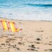 Riforma della caccia, Fallucchi (FdI): “Mio emendamento non autorizza la caccia in spiaggia”