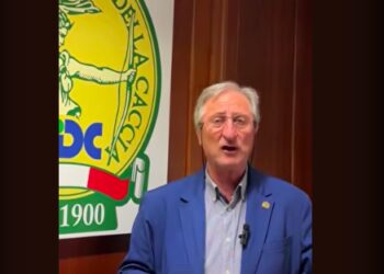 Tutti contro la gestione, fino a quando un cinghiale ti attraversa la strada