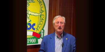 Tutti contro la gestione, fino a quando un cinghiale ti attraversa la strada