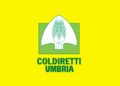 Coldiretti Umbria: “La fauna selvatica continua a provocare danni pesantissimi”