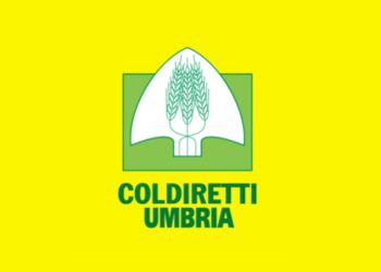 Coldiretti Umbria: “La fauna selvatica continua a provocare danni pesantissimi”